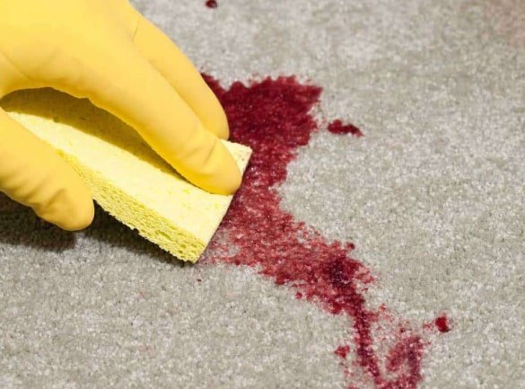 Same Day Carpet Cleaning Melbourne